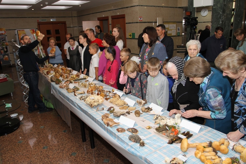 В Музее Природы и Человека прошел IV фестиваль «Мир грибов: осенние краски»