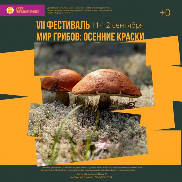 VII Фестиваль «Мир грибов: Осенние краски»