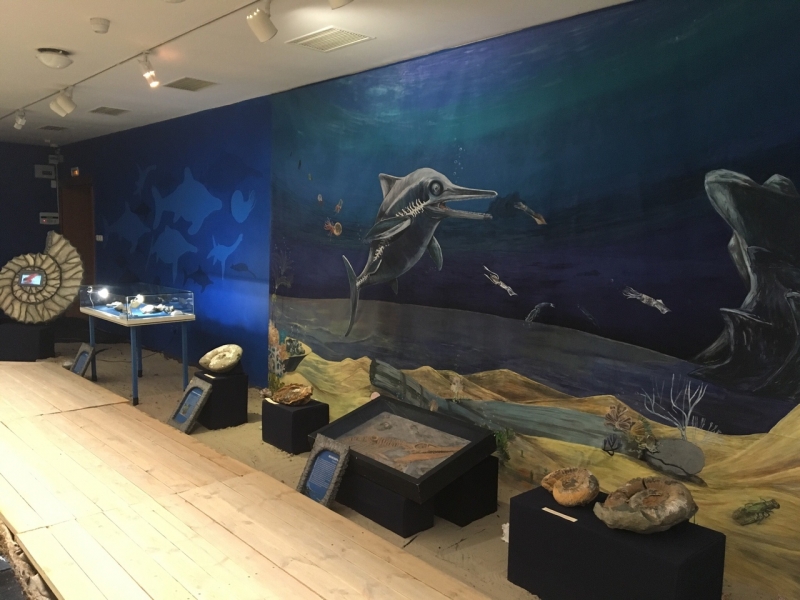 В Музее Природы и Человека завершает работу выставка «От девона до дивана»