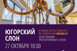 27 октября в 18:00 Музей Природы и Человека приглашает на мероприятие «Трогонтериевый слон: 30-летие находки», которое состоится в рамках Всероссийского фестиваля наук «Nauka 0+».