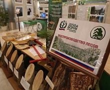 II этап Национального лесного форума