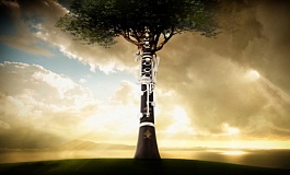  Вечер кларнетовой музыки «Чёрное дерево»