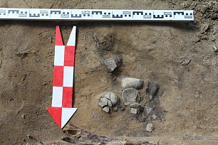 Спасательные археологические работы провели сотрудники Музея Природы и Человека